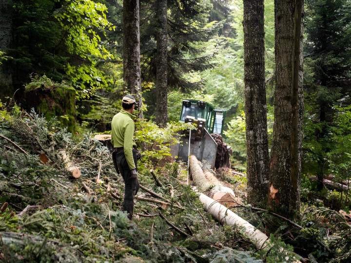 Bûcheronnage et débardage Entre-deux-Guiers