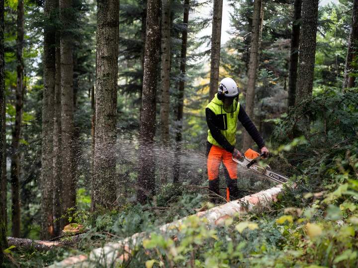 Spécialiste du sciage de bûches Entre-deux-Guiers