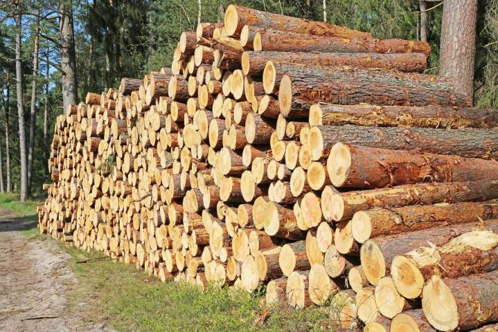 Achat de bois Entre-deux-Guiers