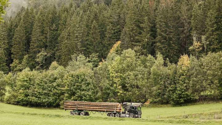 Vente de bois Entre-deux-Guiers