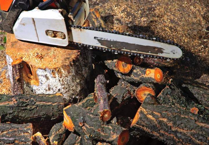 Sciage professionnel Entre-deux-Guiers