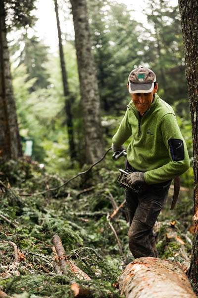 Bûcheronnage Entre-deux-Guiers