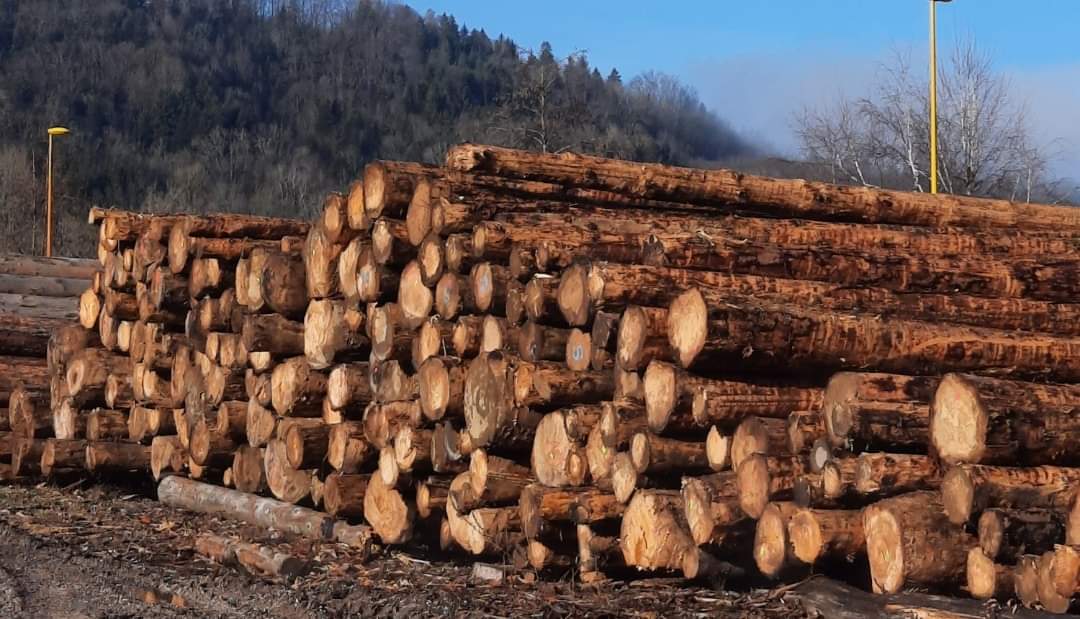 Vente de bois Grenoble