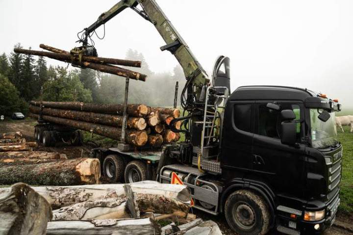 Livraison de bois sciés Entre-deux-Guiers