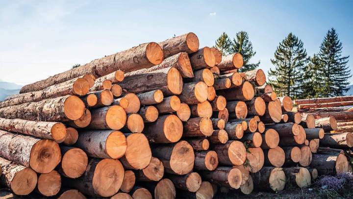 Vente de bois Entre-deux-Guiers