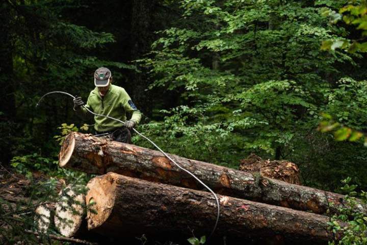 Bûcheronnage Entre-deux-Guiers