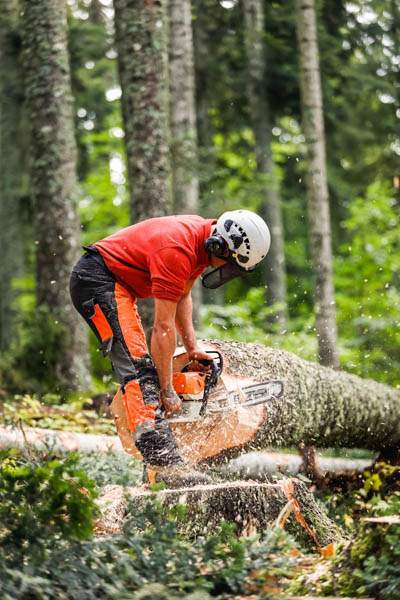 Travaux forestiers Entre-deux-Guiers